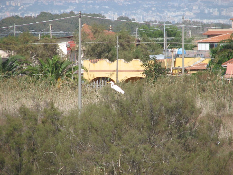 Lo spettacolo della natura e l''obbrobrio degli uomini